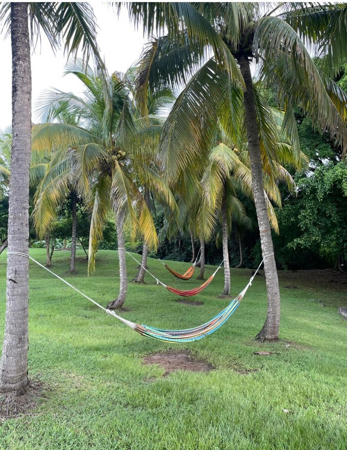 Couleur Caraibes-Cocobeach Martinique Pierre Et Vacances Sainte-Luce Exterior foto