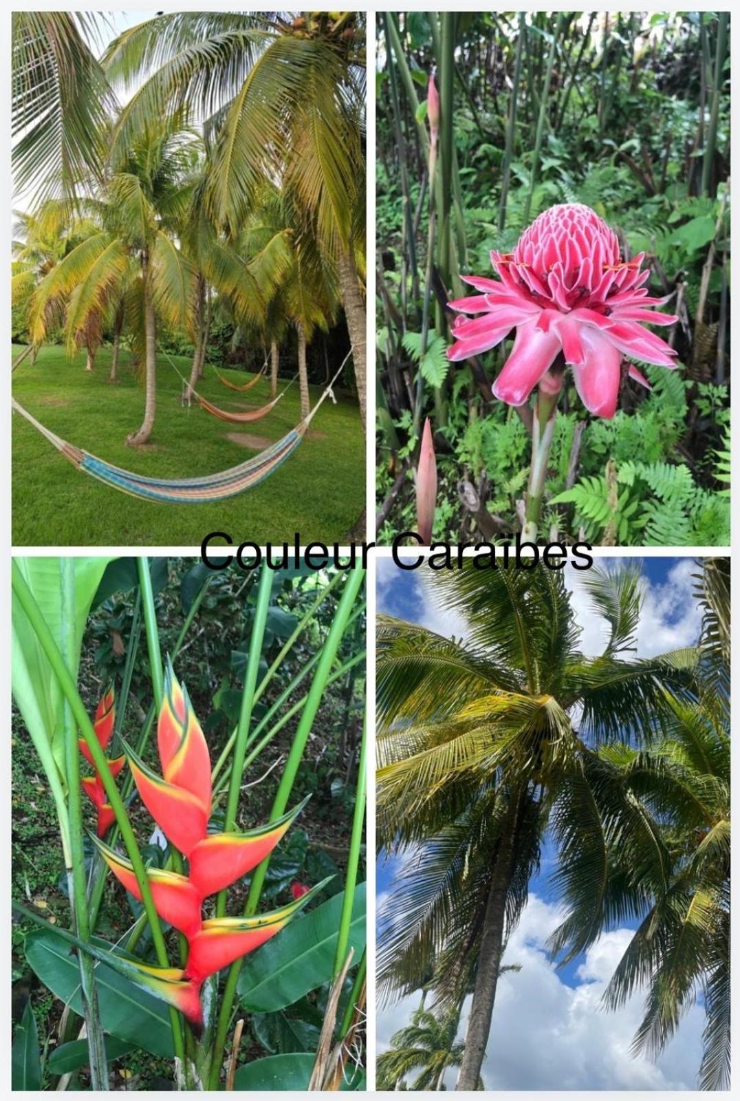 Couleur Caraibes-Cocobeach Martinique Pierre Et Vacances Sainte-Luce Exterior foto
